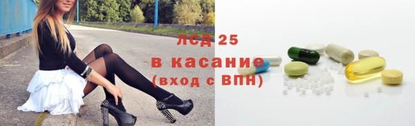 прущие грибы Бородино