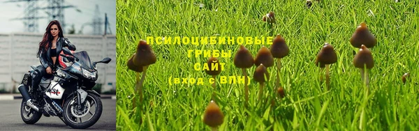 мдма Богородск