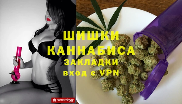 МДПВ Бронницы
