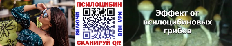 Псилоцибиновые грибы GOLDEN TEACHER  omg зеркало  Медвежьегорск 